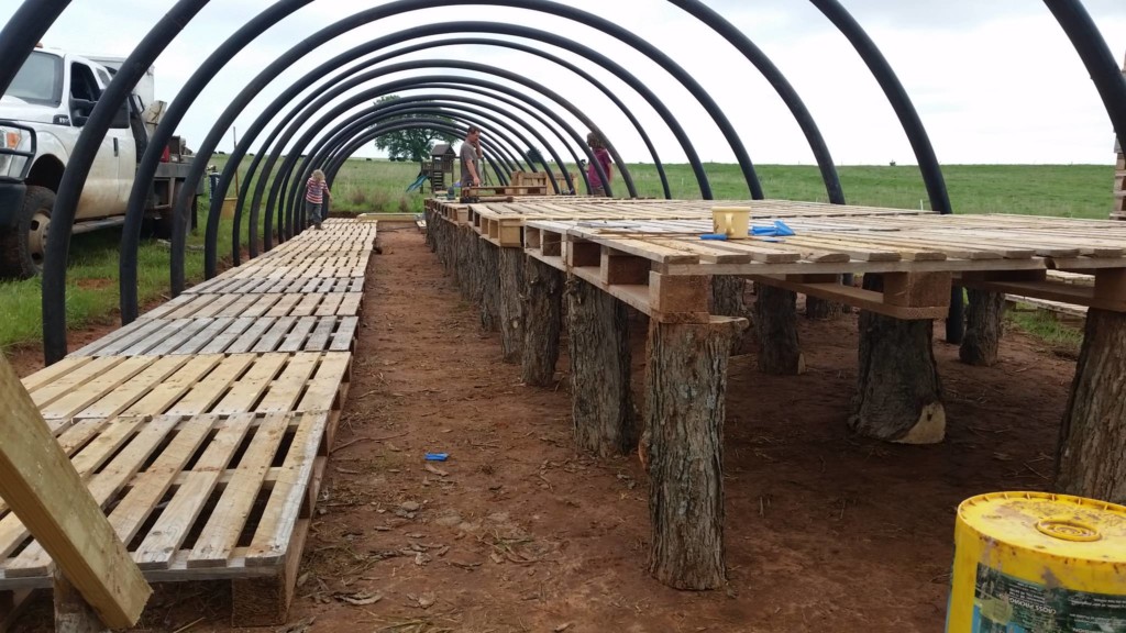 file__storage_emulated_0_DCIM_Camera_20190502_173225